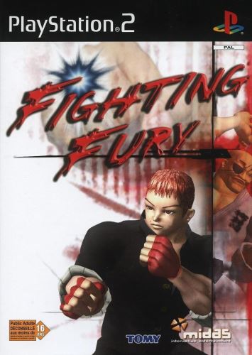 PS2 Fighting Fury